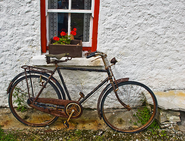 istock rusty bicycle and red flowers 145089684