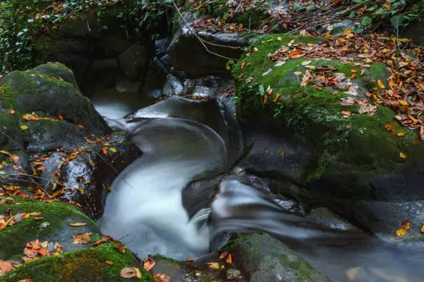 Photo of A long exposure of the river flowing over the stones in the autumn forest.
