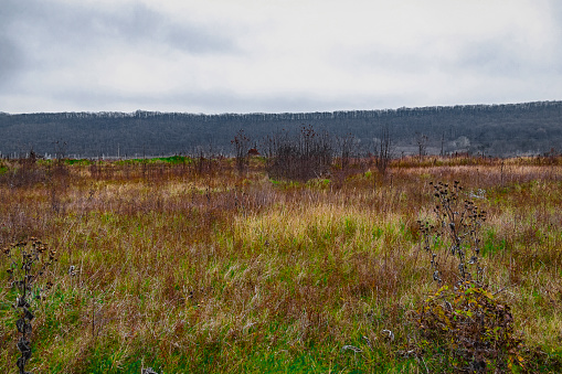 Dry yellow grass after harvesting. A field with dry grass. Abandoned agricultural fields. Meadows in the mountains in autumn. Autumn landscape with dry grass.