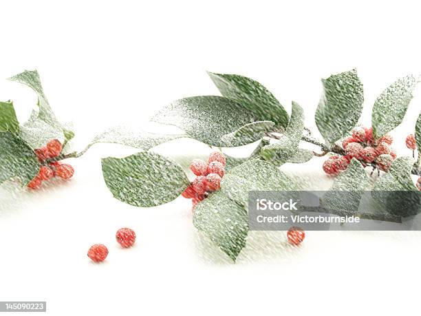 Hollysnow Stock Photo - Download Image Now - Berry, Branch - Plant Part, Celebration