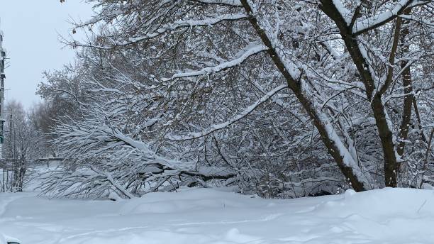 istock Image of a snow-covered village in winter 1450913070