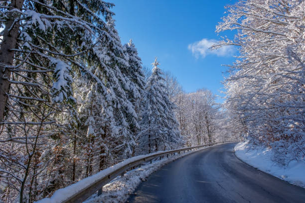 istock Mountain road in beautiful winter scenery landscape, snowcapped trees under bright sunny light in frosty morning, alpine panoramic view snow capped mountains in background 1450915513