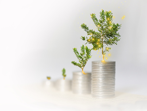 Growing money, plant or tree grows on stack of coins with flying glowing gloden particles. Finance, account, saving, and investment concept