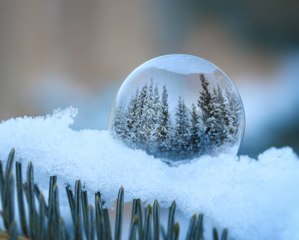 istock Frozen frost bubble on the cold winter snow producing crystal design 1450923752