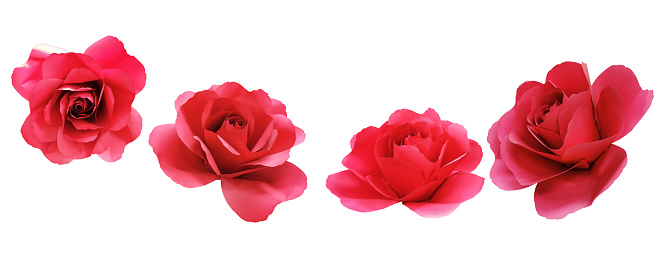 red rose paper on white background