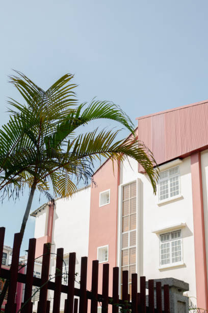 istock Pink house and tropical tree in Da Lat, Vietnam 1450926360
