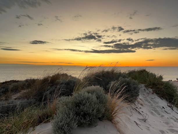 istock Sunset on the Indian Ocean in Western Australia 1450931268