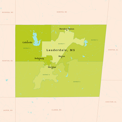 MS Lauderdale County Vector Map Green. All source data is in the public domain. U.S. Census Bureau Census Tiger. Used Layers: areawater, linearwater, cousub, pointlm.