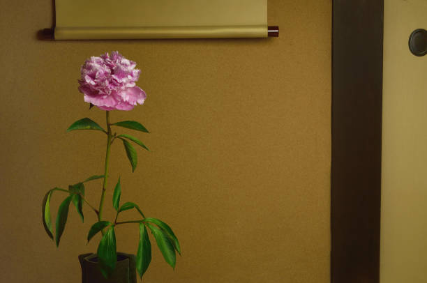 Shaku-Yaku in the Vase/Studio Shot