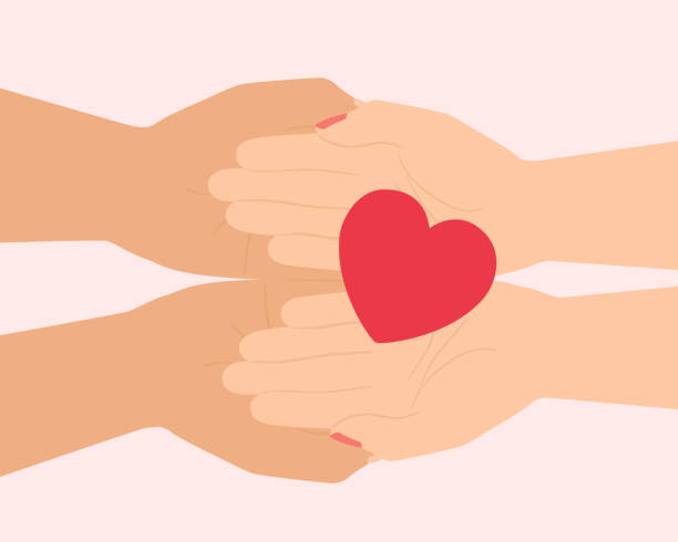 ilustraciones, imágenes clip art, dibujos animados e iconos de stock de manos sosteniendo corazón rojo. donación de órganos, día mundial del corazón, concepto de amor y esperanza - consoling human hand human heart care