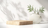 Modern, minimal square wooden podium with white ceramic potted plant on white counter table in dappled sunlight and shadow on white wall