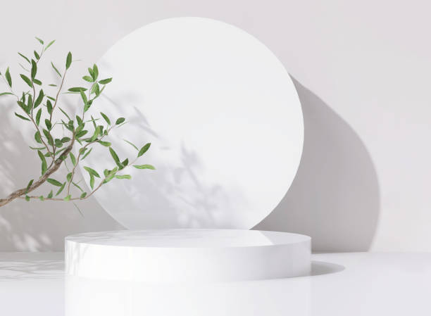 istock Modern, minimal glossy white round cylinder podium, tropical tree branch on white counter table in dappled sunlight, leaf shadow on white wall background 1450954058