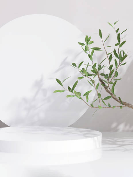 istock Modern, minimal glossy white round cylinder podium, tropical tree branch on white counter table in dappled sunlight, leaf shadow on white wall background 1450954068