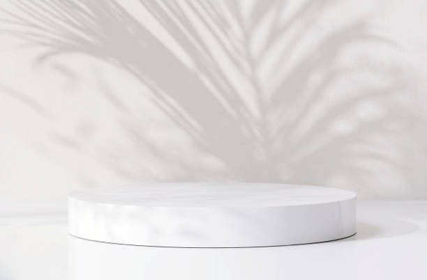 istock Modern, minimal glossy white round cylinder podium on white counter table in dappled sunlight, palm leaf shadow on white wall background 1450954378