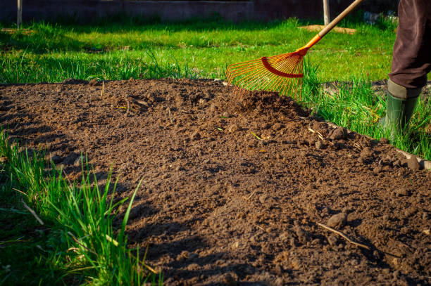 istock A good example of a fan rake in the garden 1450962803