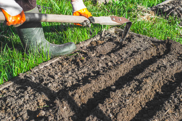 istock Using the Fokine Plane Cutter on a Bed to Dig Trenches 1450962915