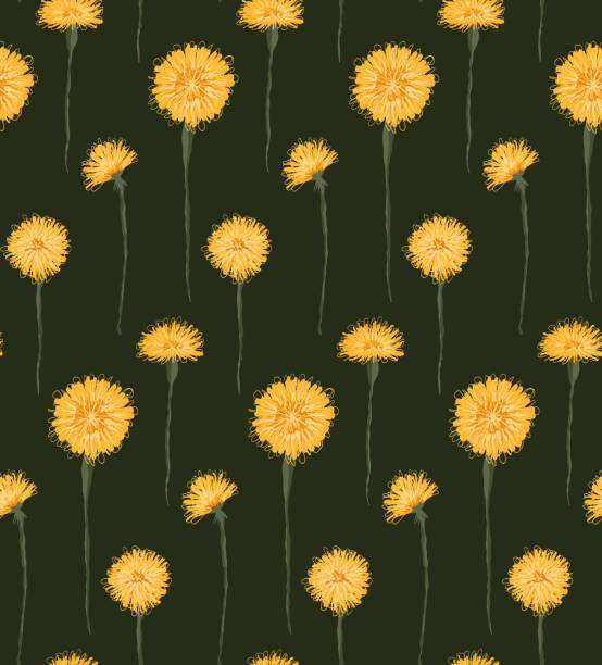 ilustrações, clipart, desenhos animados e ícones de padrão vetorial com dentes-de-leão amarelos esboçados em um fundo verde escuro. textura floral botânica para tecidos. - lea