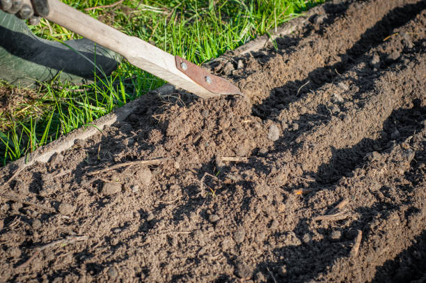 istock Using the Fokine Plane Cutter on a Bed to Dig Trenches 1450965933