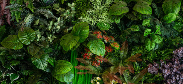 istock Group of dark green tropical leaves background. 1450965997