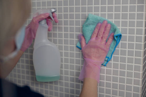 istock Cleaning lady washing tile wall with detergent and rag. Hygiene, purity, cleanliness concept 1450966667