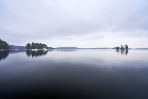istock Reflection in the water in gray winter day 1450967350