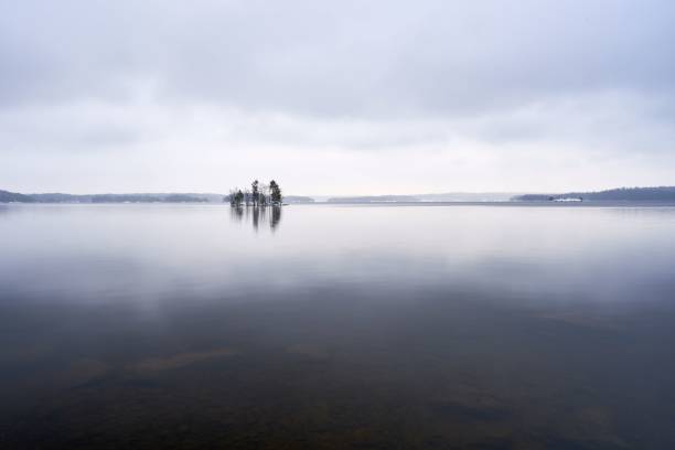istock Lonely island in the lake 1450967361