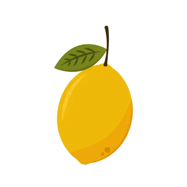 Vector illustration of Lemon cartoon vector. Lemon on white background.