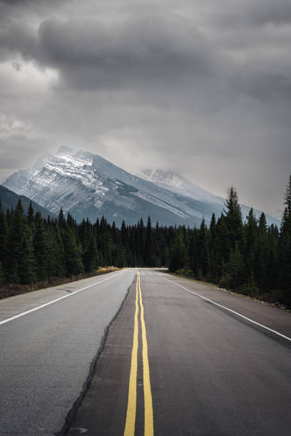 istock Icefield Parkway - Kanadische Rocky Mountains 1450971102