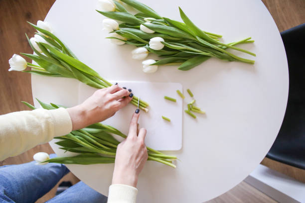 女性は花瓶の中でより長く立つように花の根を整えます。花の寿命を延ばす方法。フローリスト。自宅で切り花の世話 - cut flowers bouquet flower flower arrangement ストックフォトと画像