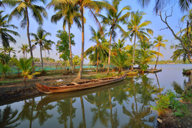 istock Narrow canals surrounded by coconut trees in Kochi backwaters. 1450976963