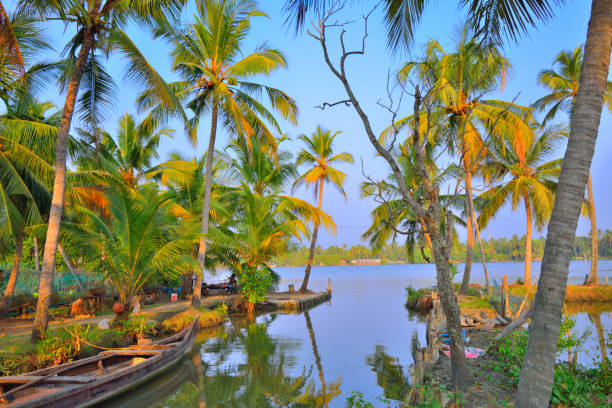 istock Narrow canals surrounded by coconut trees in Kochi backwaters. 1450976970