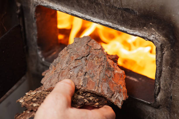 istock Bark of a pine tree in hand of a man while throwing it into solid fuel boiler, close up 1450982131