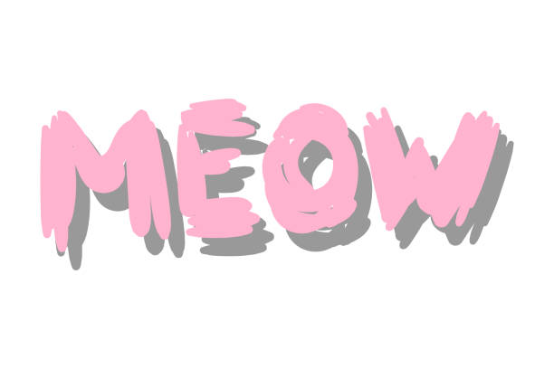 istock Meow Hand drawn kitten lettering. Quote isolated on white background. Funny animals phrase for girls, print, home decor, posters. Fun brush inscription about pets. 1450982723