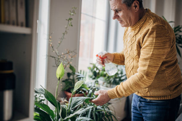 istock Senior man watering house plants 1450984057