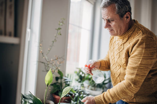 istock Senior man watering house plants 1450984066