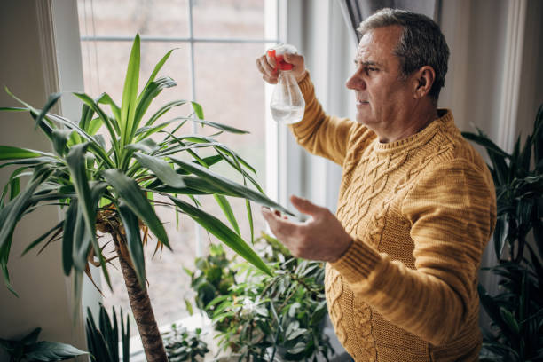 istock Senior man watering house plants 1450984706