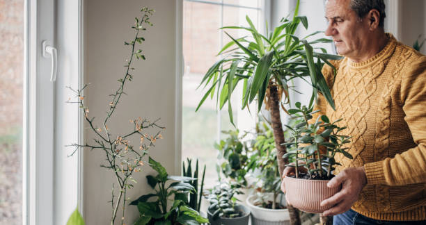 istock care of house plants 1450984885