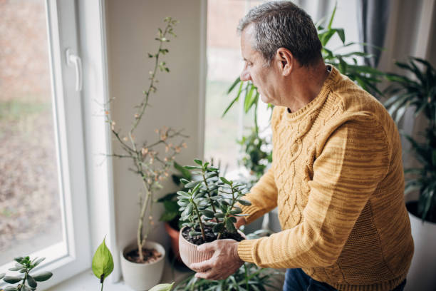 istock care of house plants 1450984887