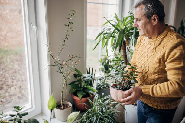 istock care of house plants 1450984893