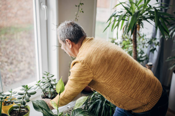 istock care of house plants 1450984908