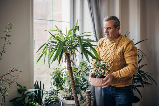 istock care of house plants 1450984920
