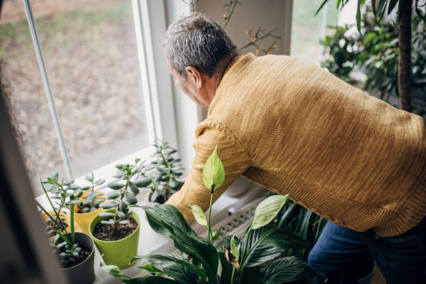 istock Senior man looking out the window 1450984938
