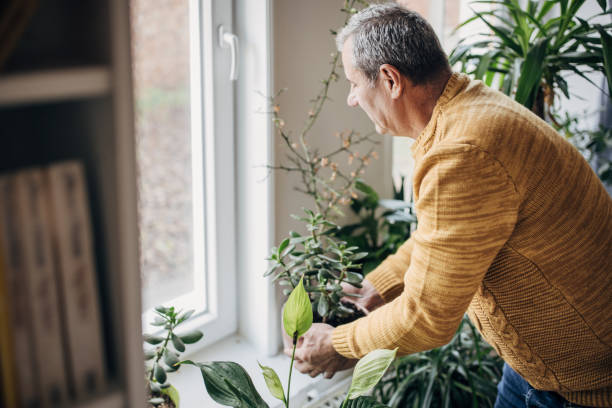 istock care of house plants 1450984951