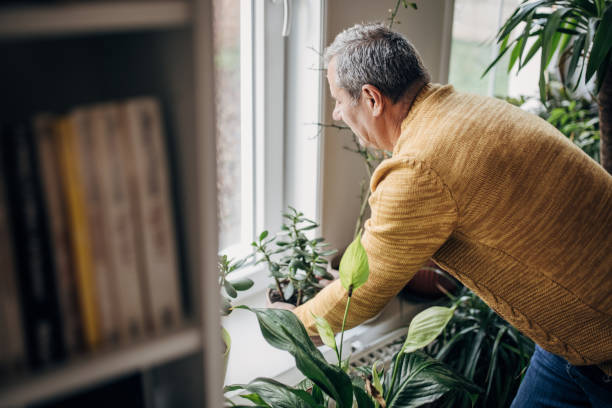 istock care of house plants 1450985076