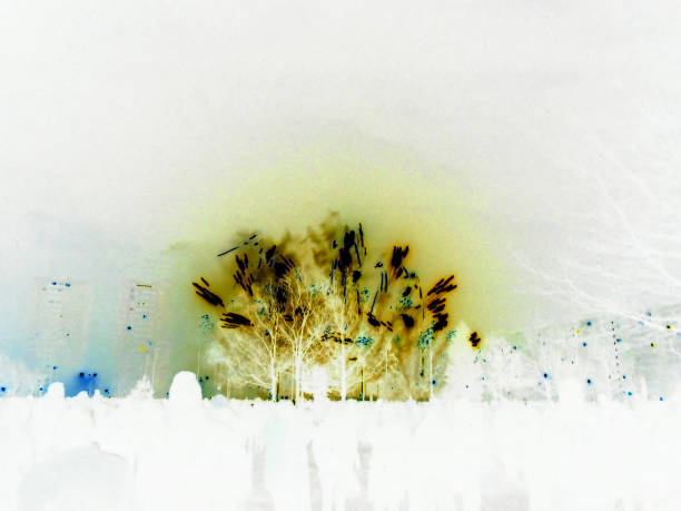 istock Inverted image - Magnificent burst of blue flash light fireworks during New Year pyro show. 1450986728
