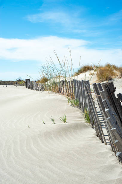 istock Old wood fence on the beach 1450994563