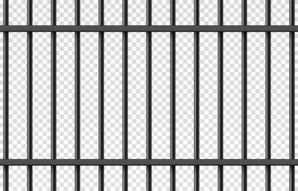 istock Vector prison cage on isolated transparent background. Iron fence, iron bars. Prison, crime, prisoner. 1451006117