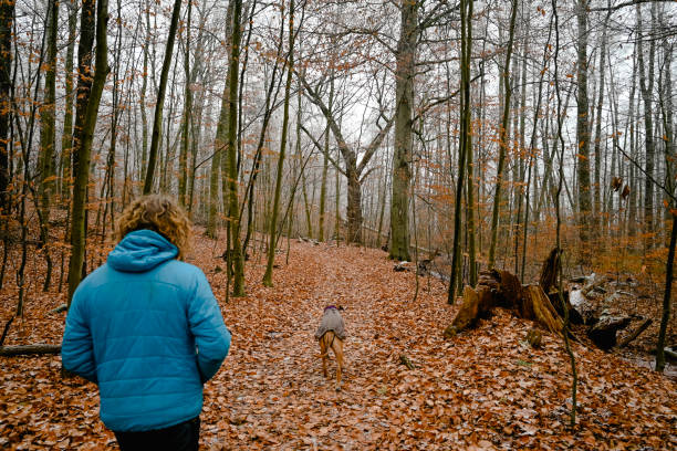 Man on a hike with a dog on a overcast winter day