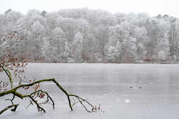 istock December in Barnim Natural Park, Brandenburg Germany 1451008010