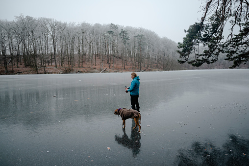 Man on a hike with a dog on a overcast winter day